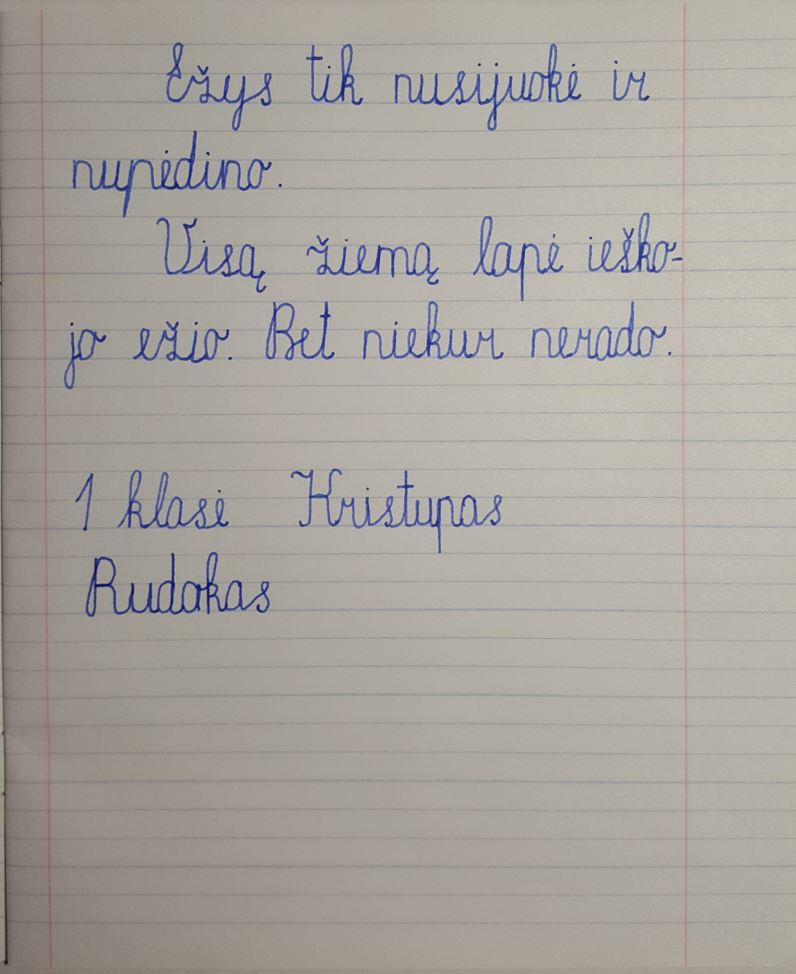Dailyraštis1