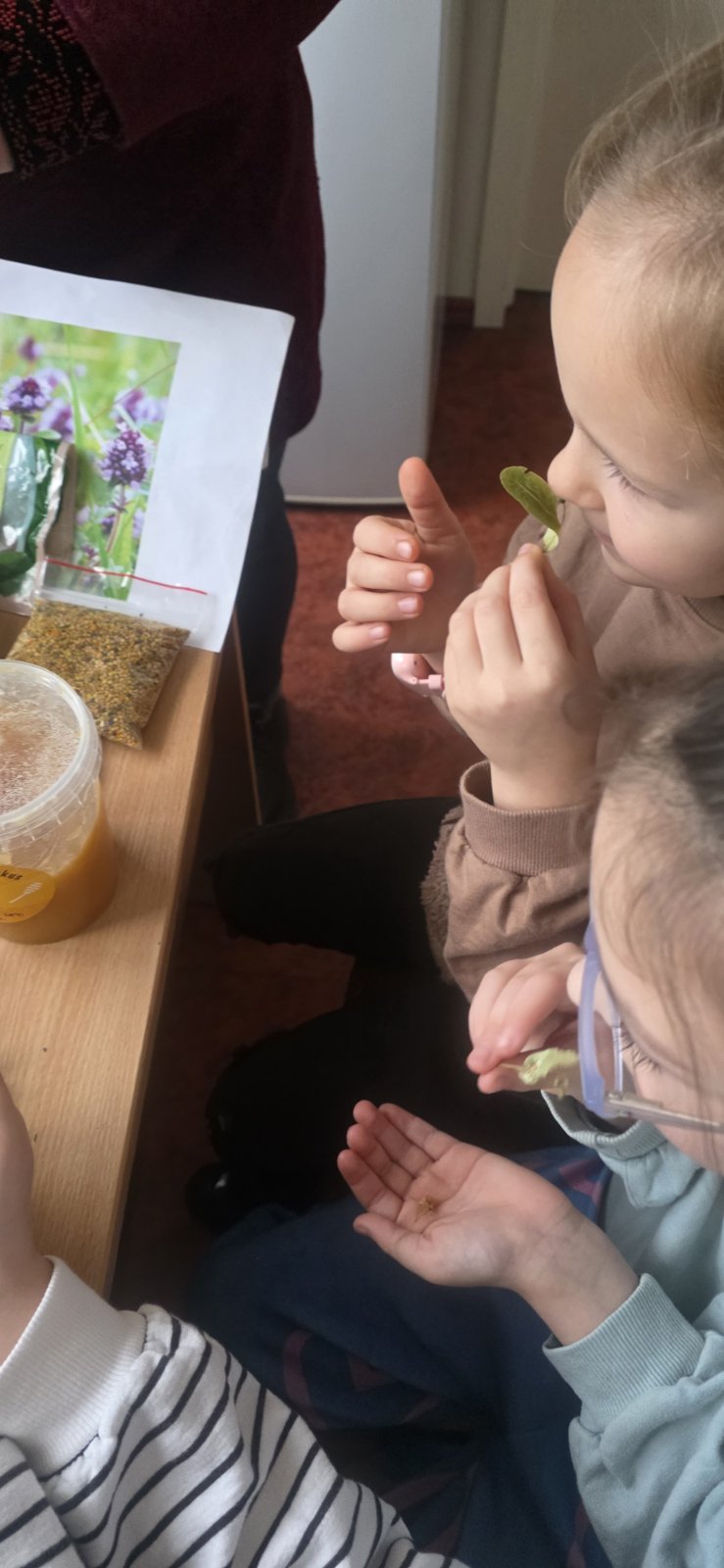 IMG-b7a1547ff5138dba9e045566f1f4a6e7-V