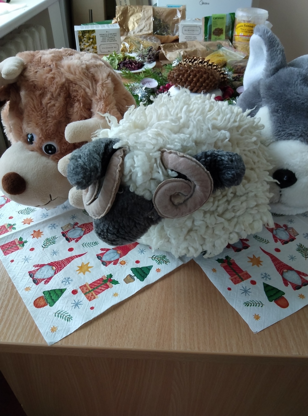 IMG 20251212 094938-s