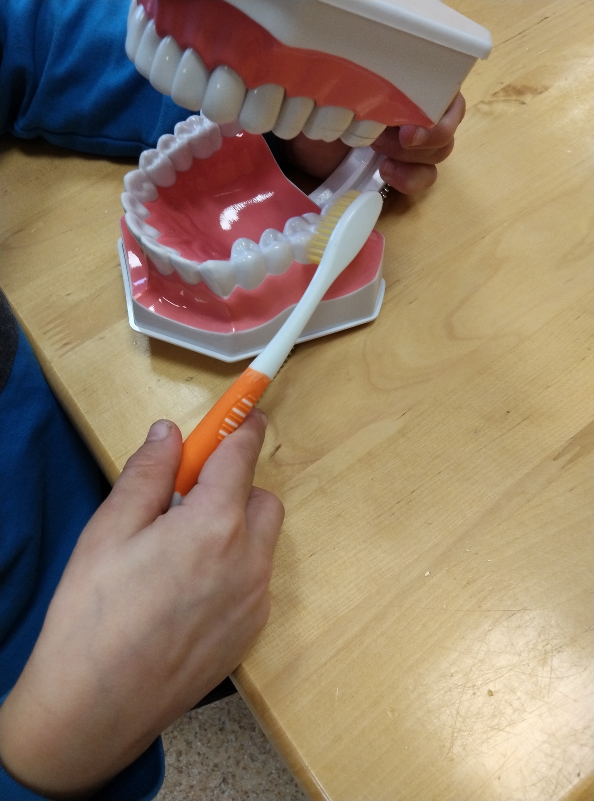 IMG 20251028 103121-s