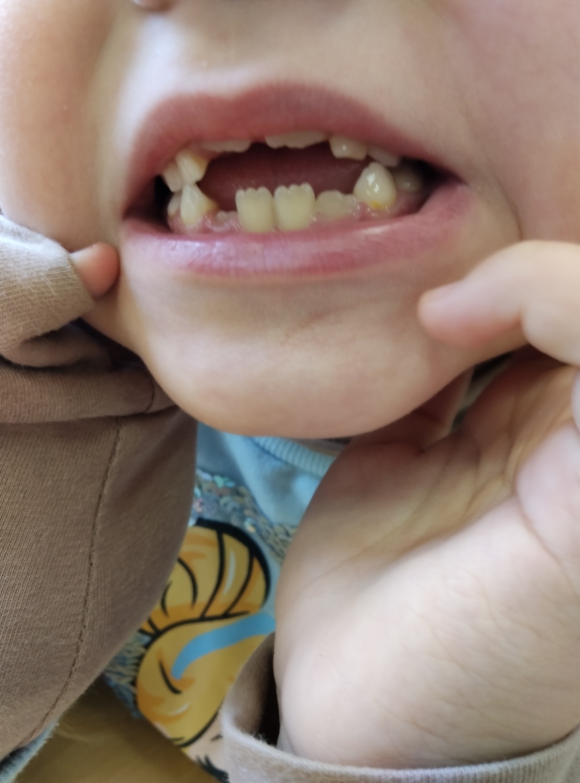 IMG 20251028 104506-s