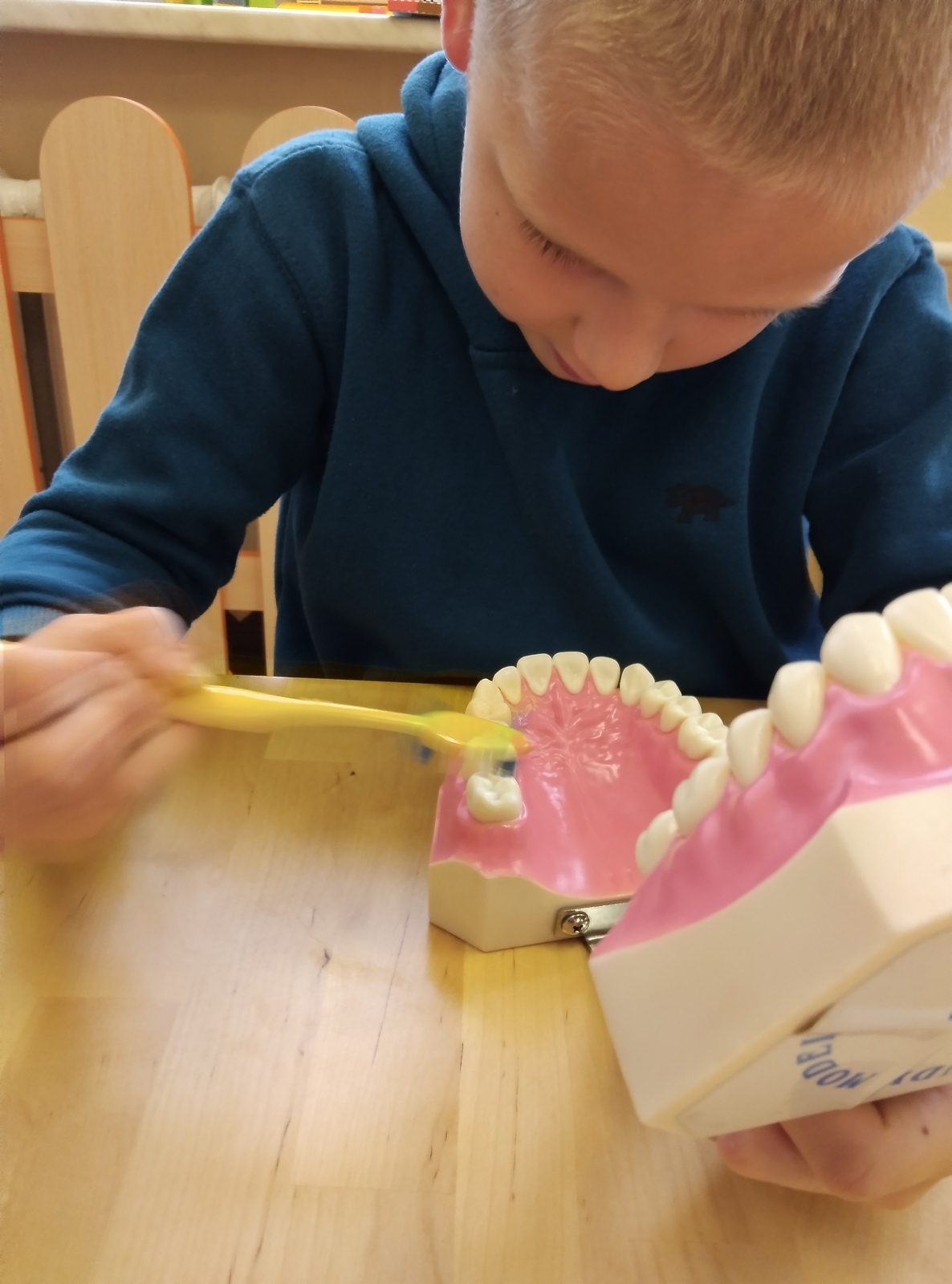 IMG 20251028 110026-s