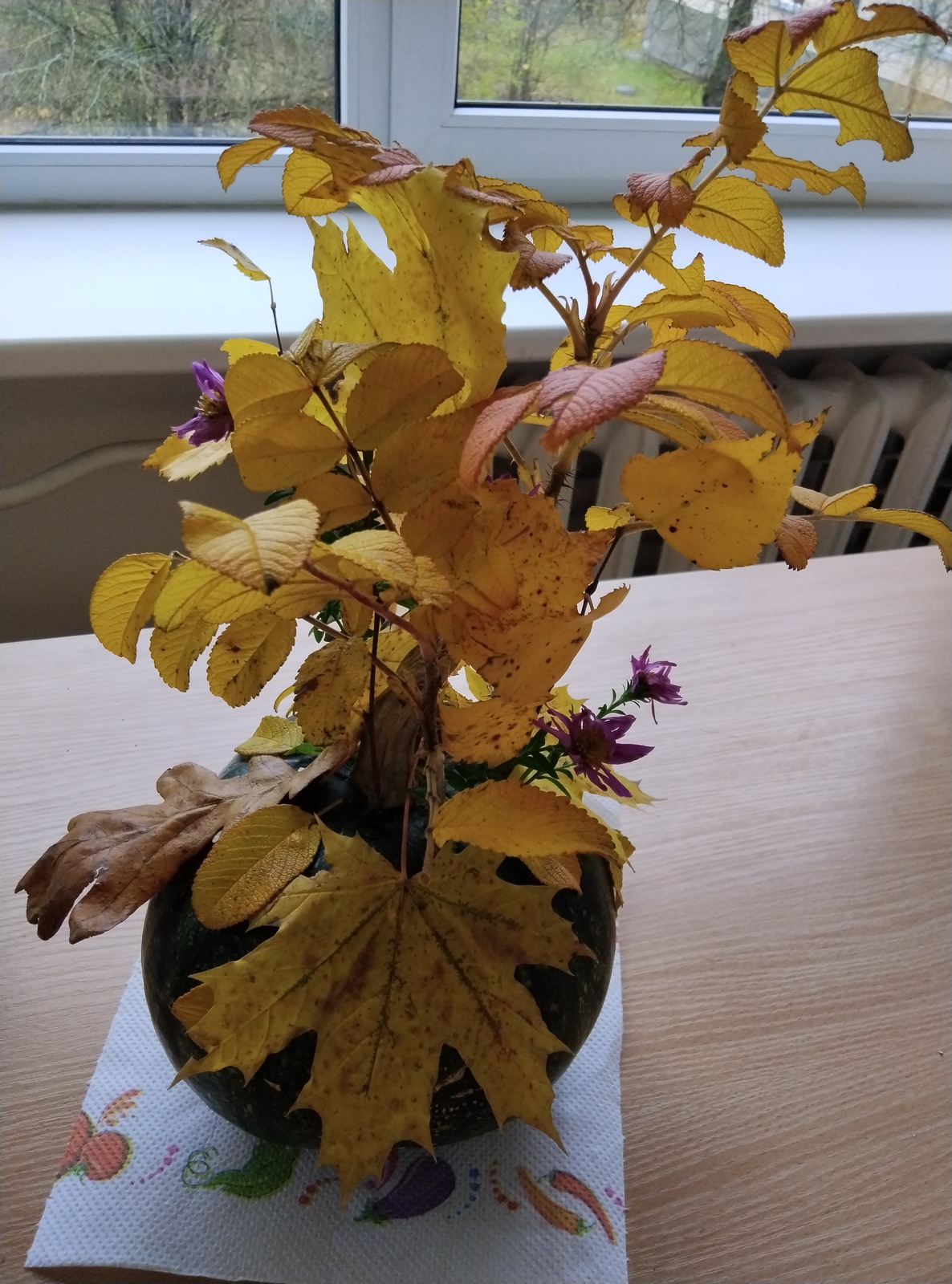 IMG 20251031 094046-s