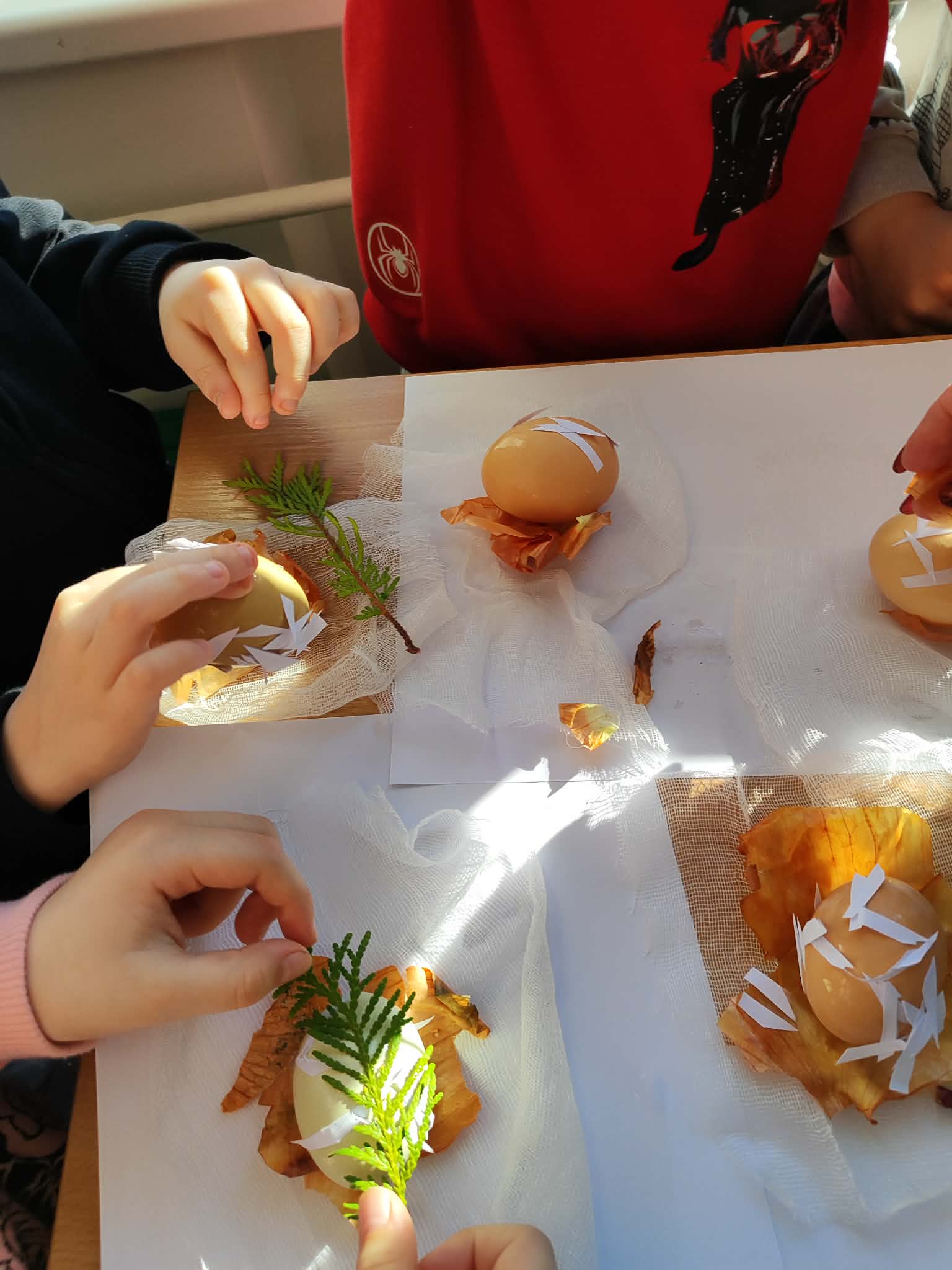 28f3b4d0-c800-42fc-b20e-a0b3889c0c4c