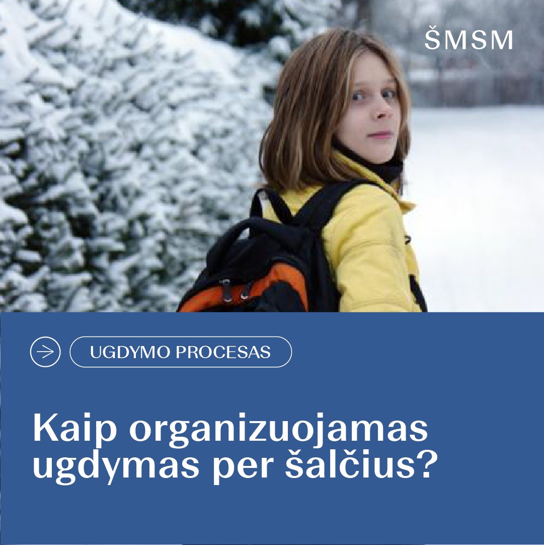 ugdymas per salcius